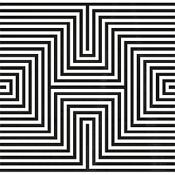 Box Lines Illusion